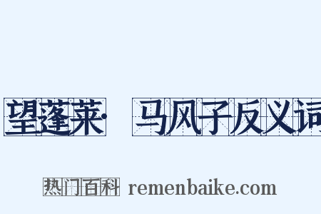 望蓬莱·马风子反义词是什么意思的图片